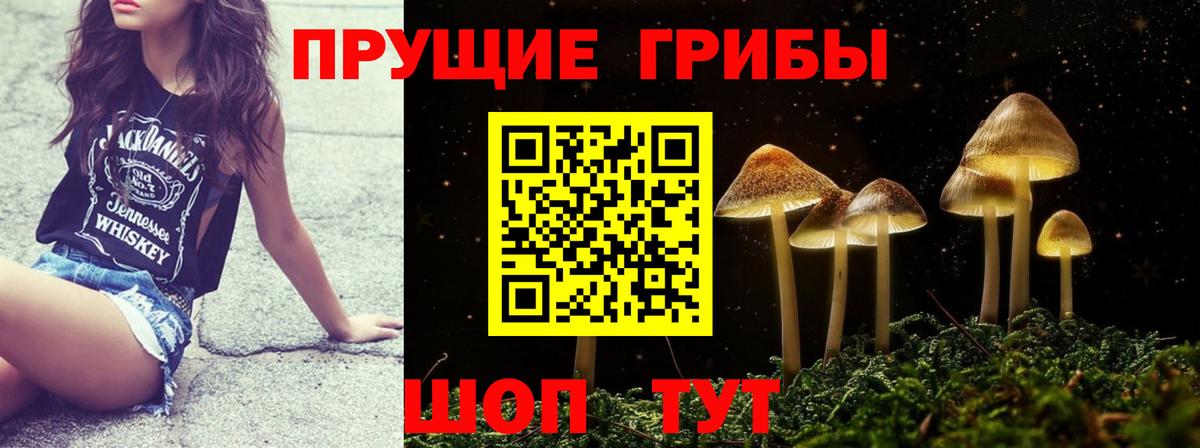 Псилоцибиновые грибы MAGIC MUSHROOMS Ухта